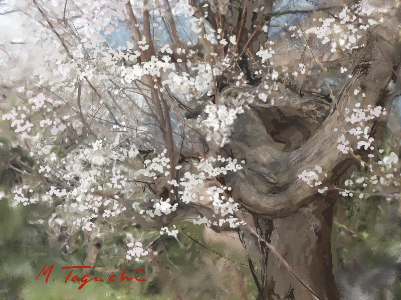 ��i12�D�~�Q